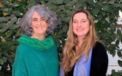Consejera Constanza Tobar es designada nueva vicepresidenta del CNTV